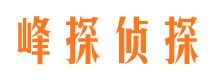 遂川找人公司